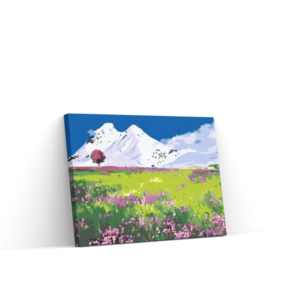 Pintar por Números - Pradera en medio de las montañas