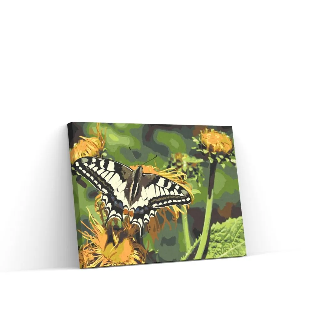 Pintar por Números - Mariposa sobre diente de león