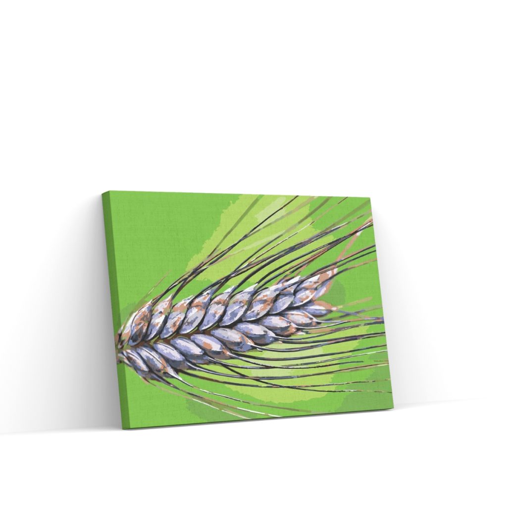 Pintar por Números - Grano