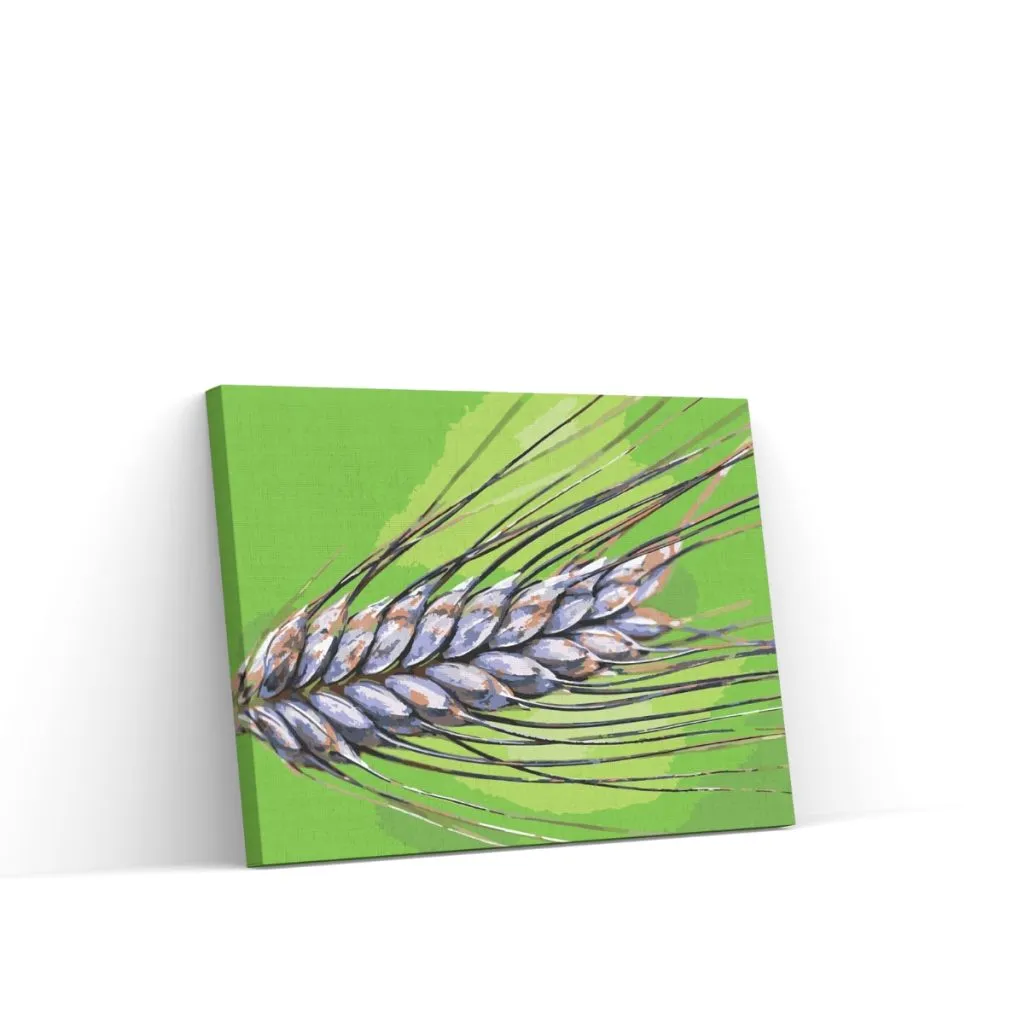 Pintar por Números - Grano