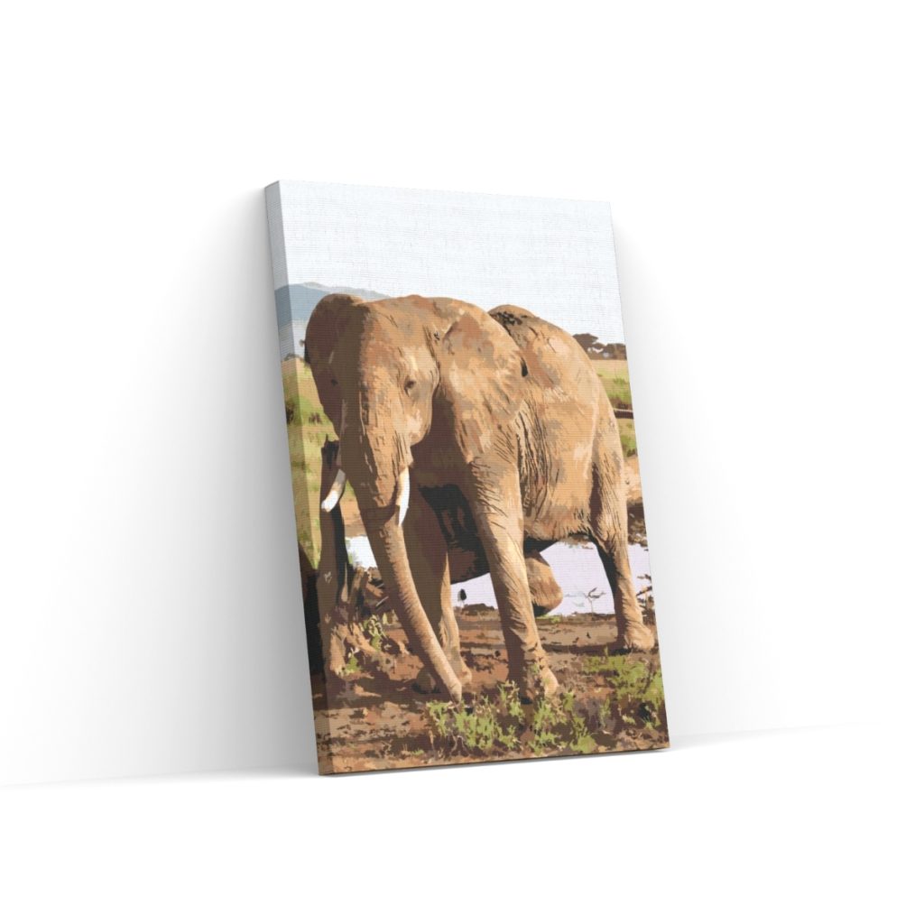 Pintar por Números - Safari - Elefante