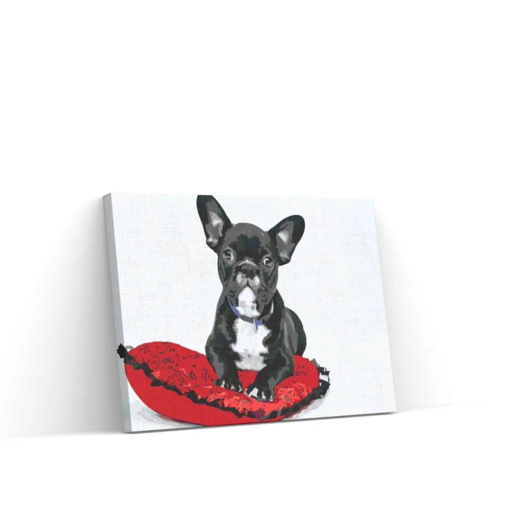 Pintar por Números - Bulldog negro sobre un cojín