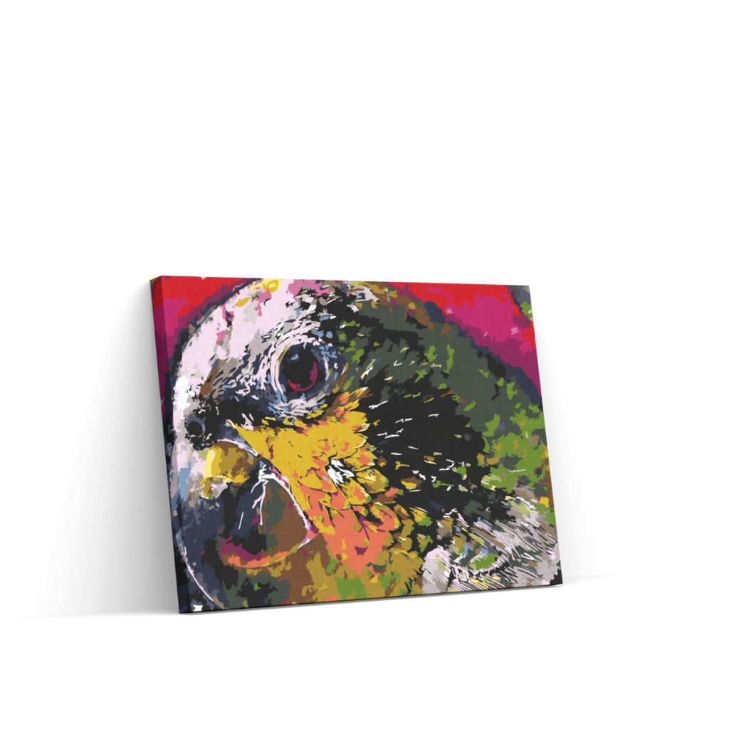 Pintar por Números - La cabeza de un loro