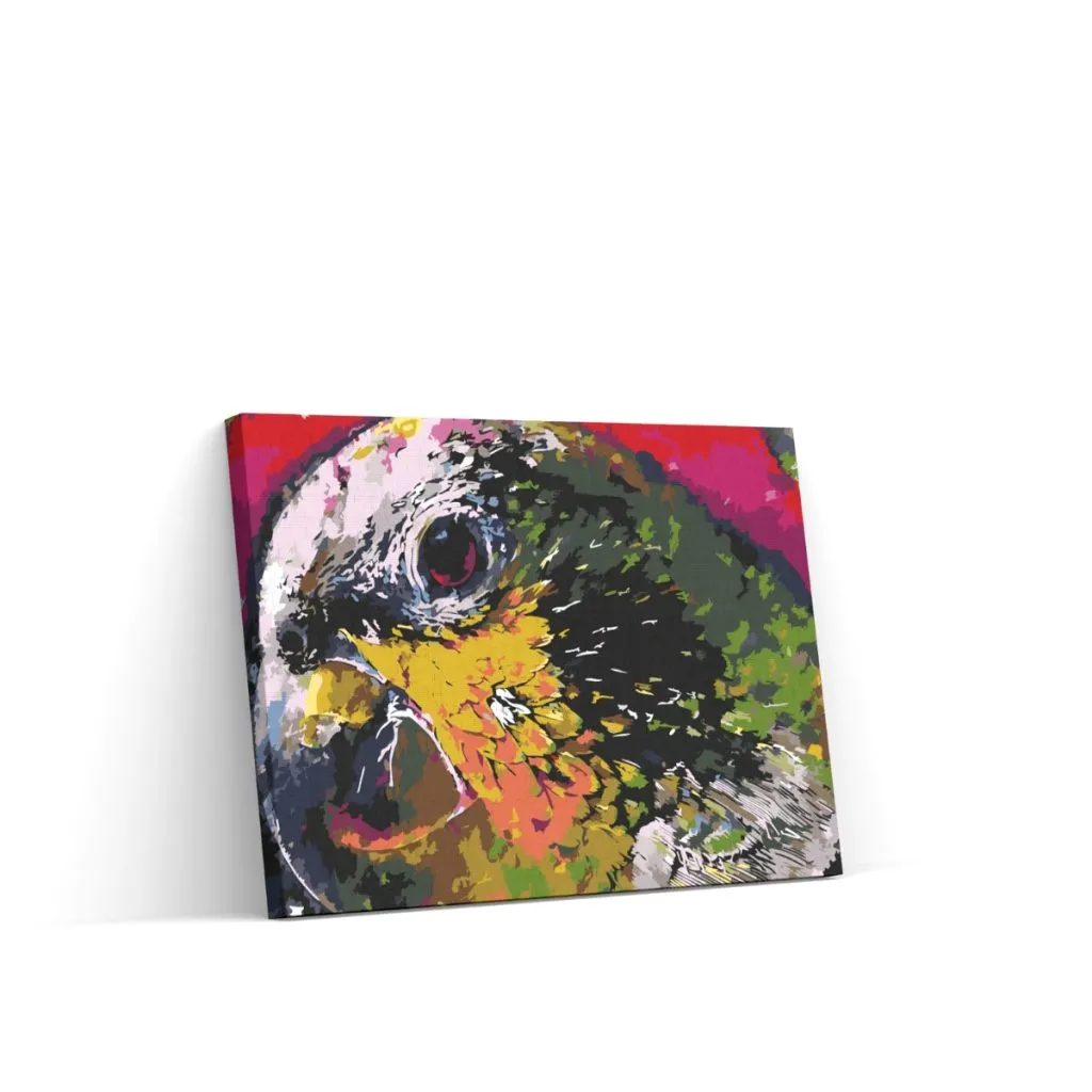 Pintar por Números - La cabeza de un loro