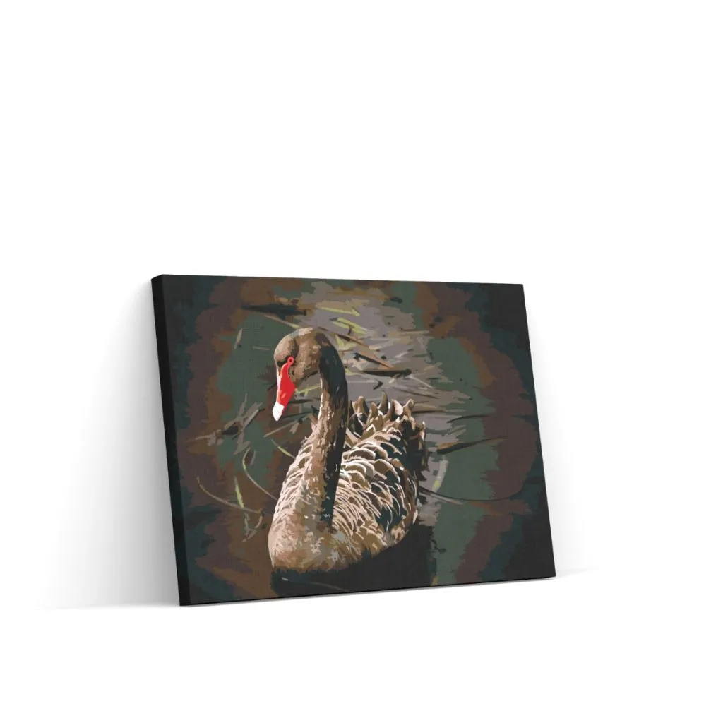 Pintar por Números - Cisne negro