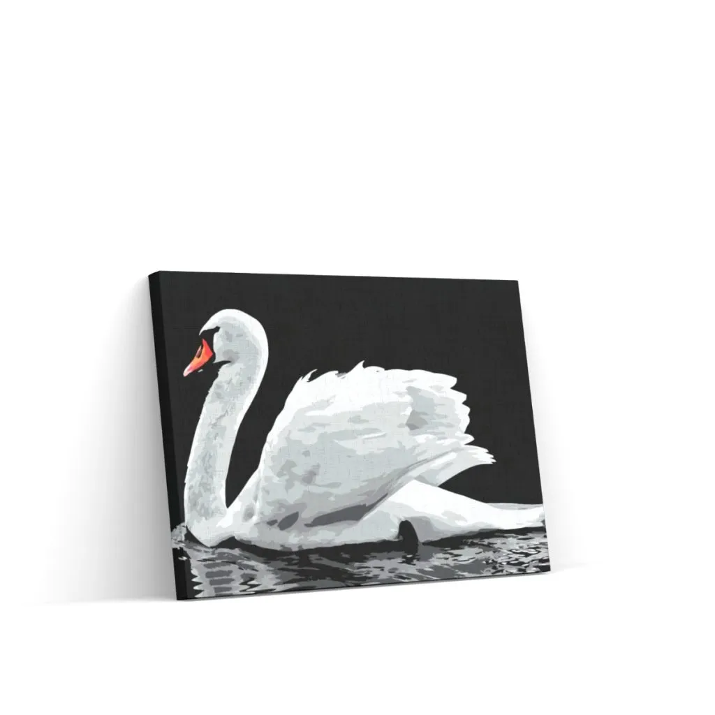 Pintar por Números - Cisne blanco