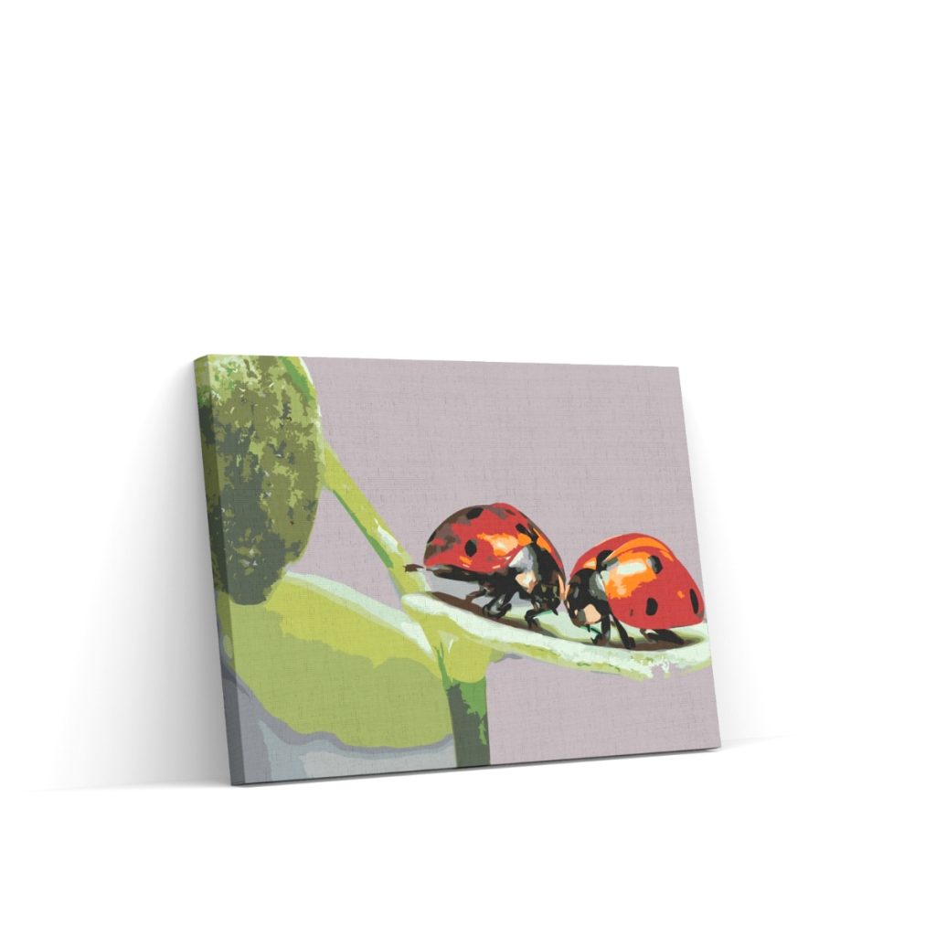 Pintar por Números - Mariquitas