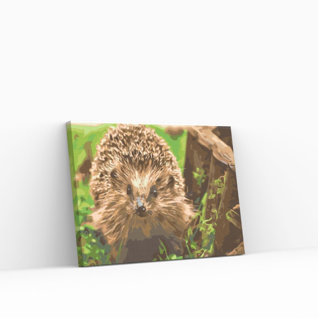 Pintar por Números - Erizo, animal nocturno