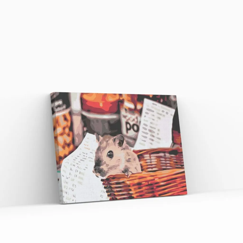 Pintar por Números - Hámster de compras