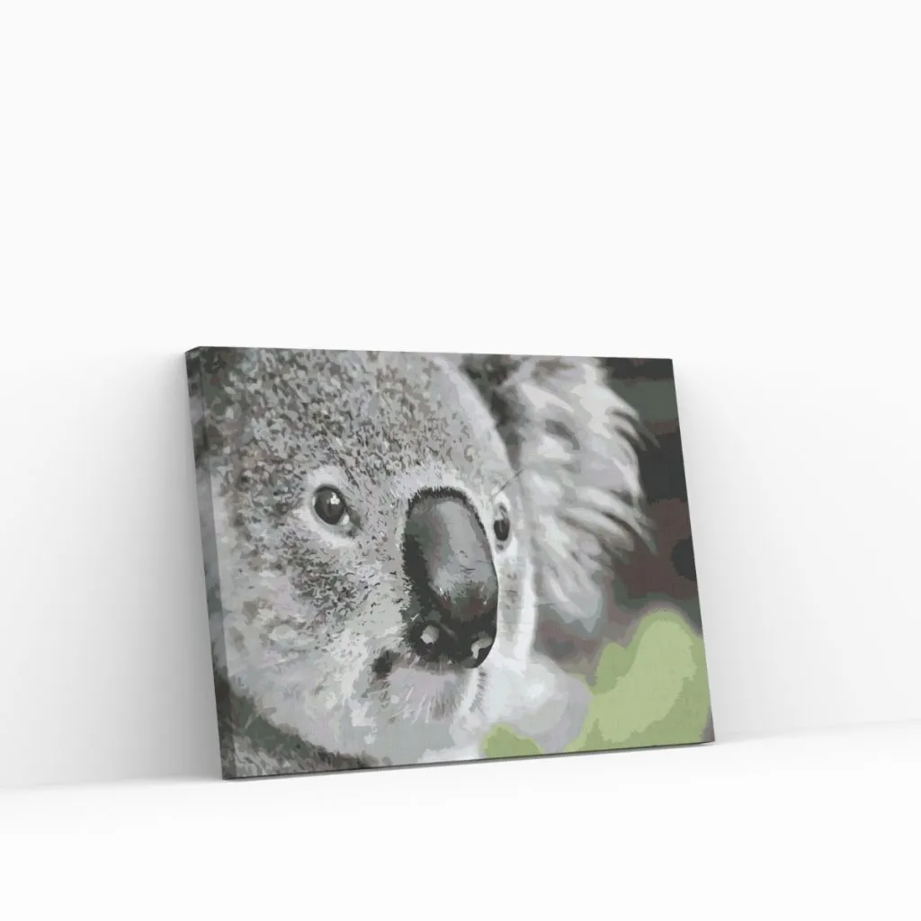Pintar por Números - Osito koala