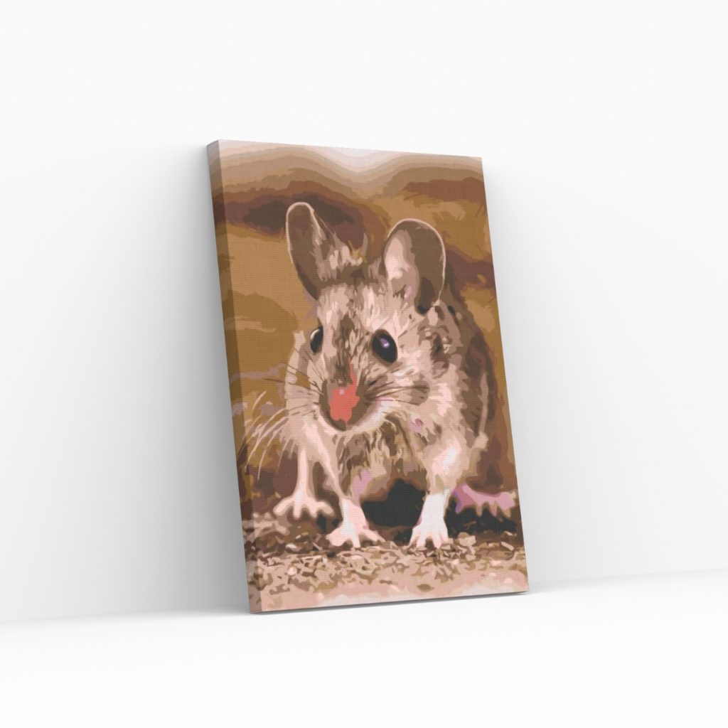 Pintar por Números - Hámster pequeño