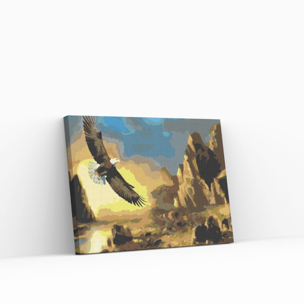 Pintar por Números - El águila sobrevuela las montañas