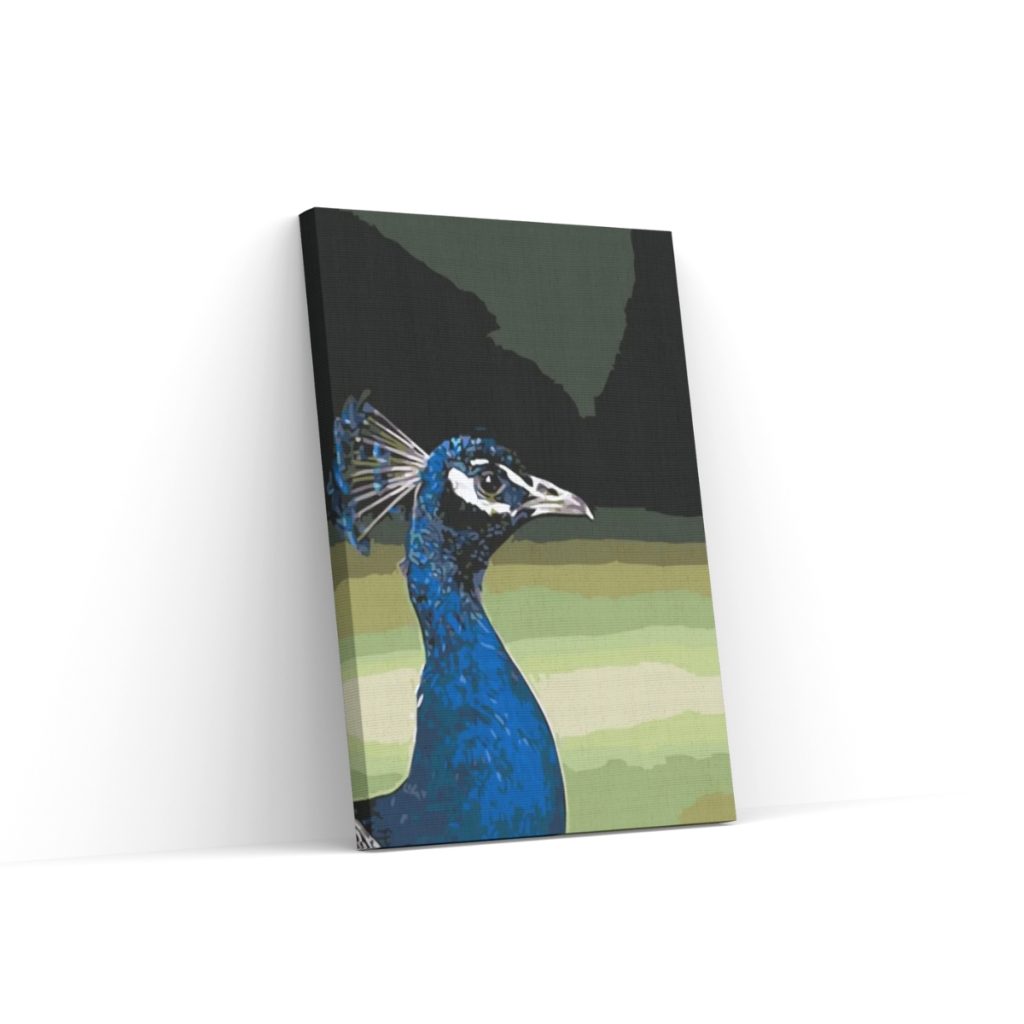 Pintar por Números - Pávice