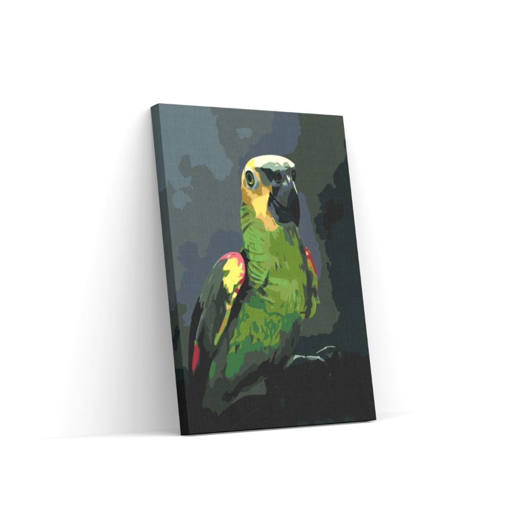 Pintar por Números - Loro amazónico