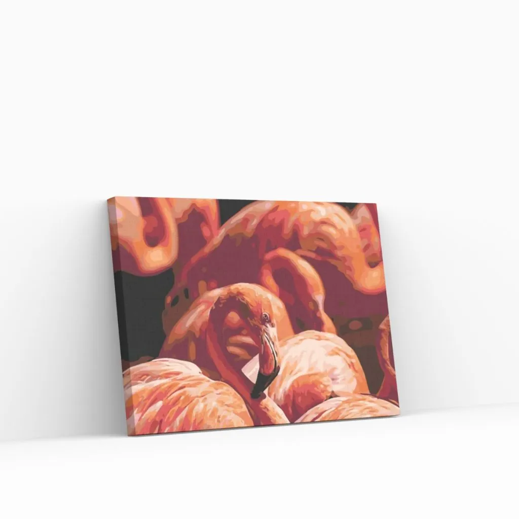 Pintar por Números - Flamencos 2