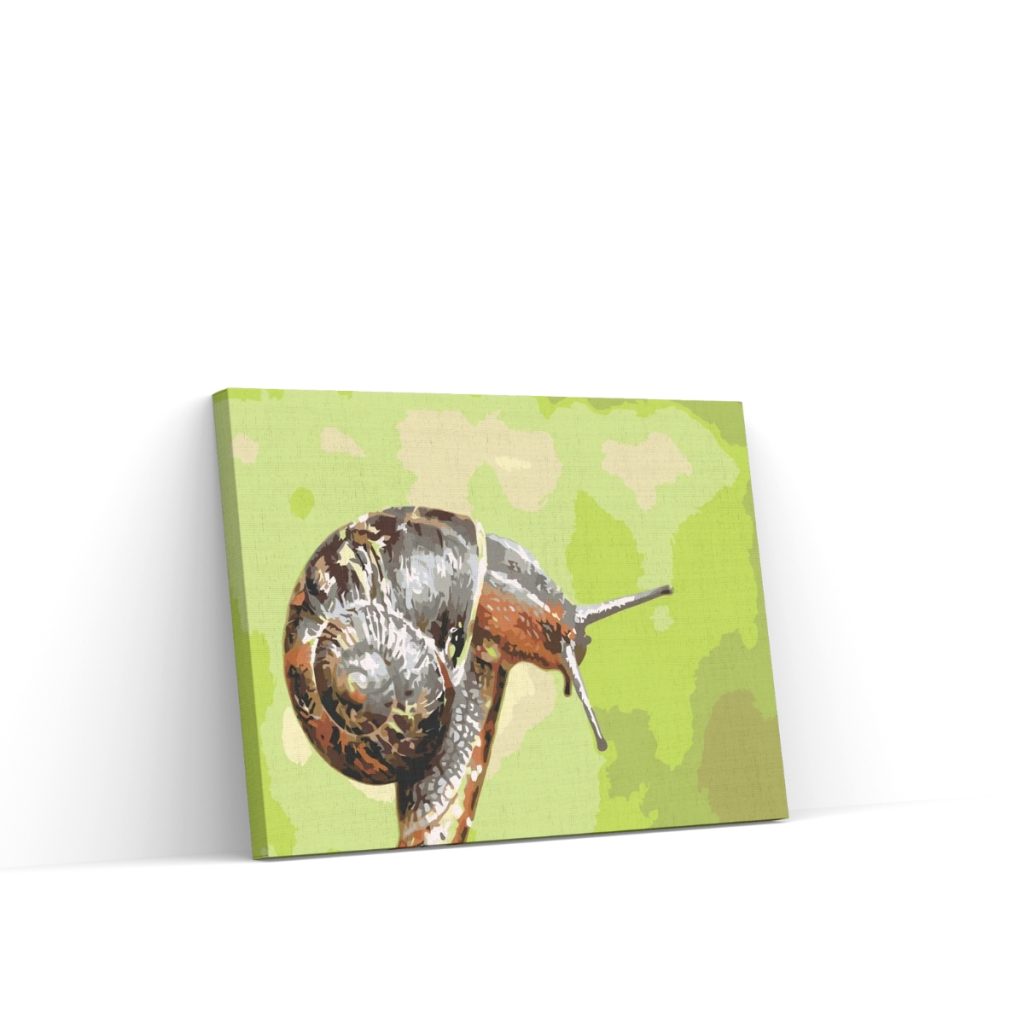 Pintar por Números - Slak