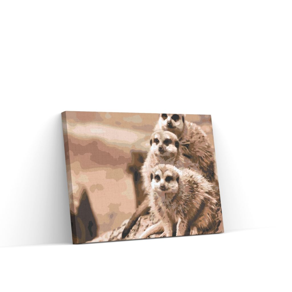 Pintar por Números - Safari surikaty