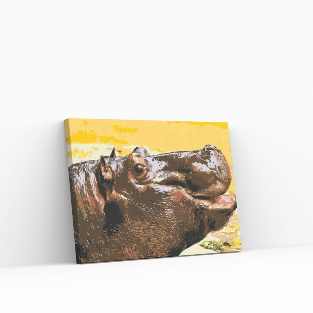 Pintar por Números - Safari hipopótamo