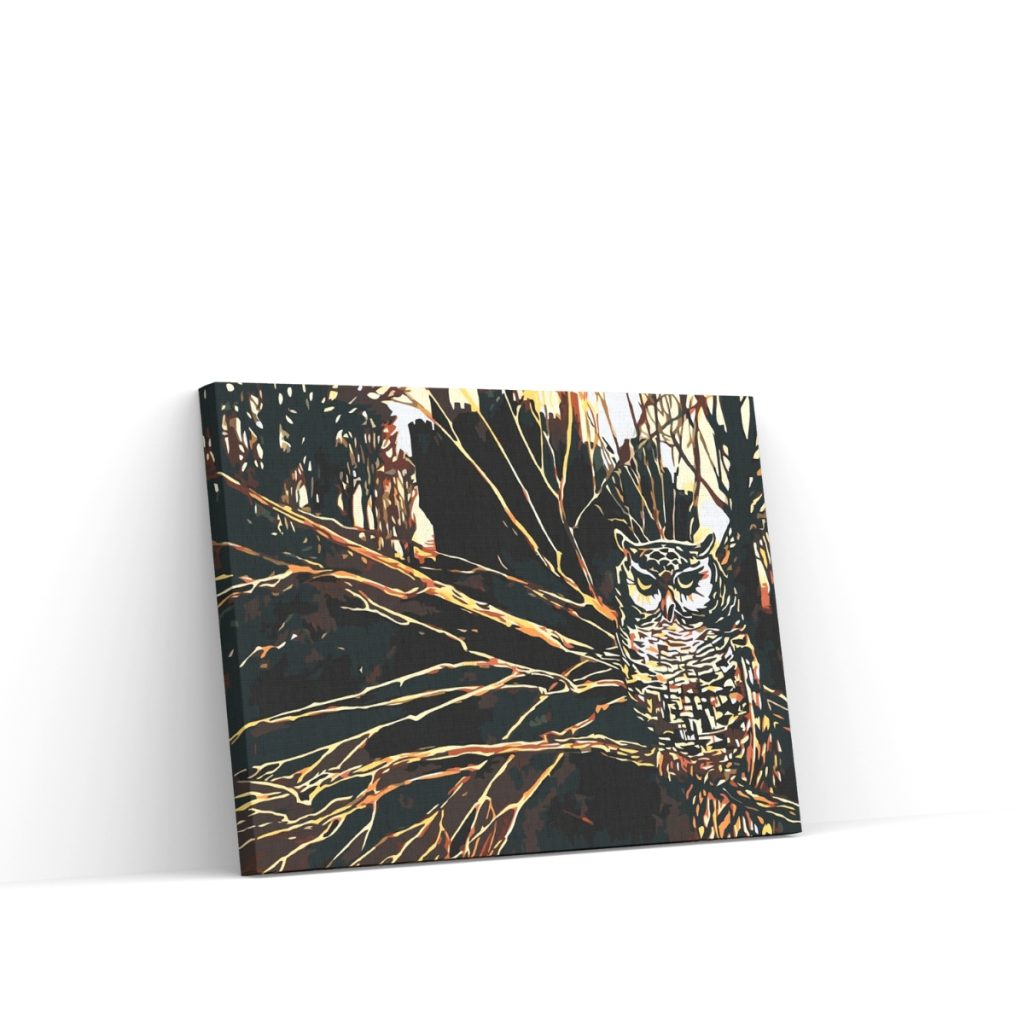 Pintar por Números - Búho en una rama en la oscuridad