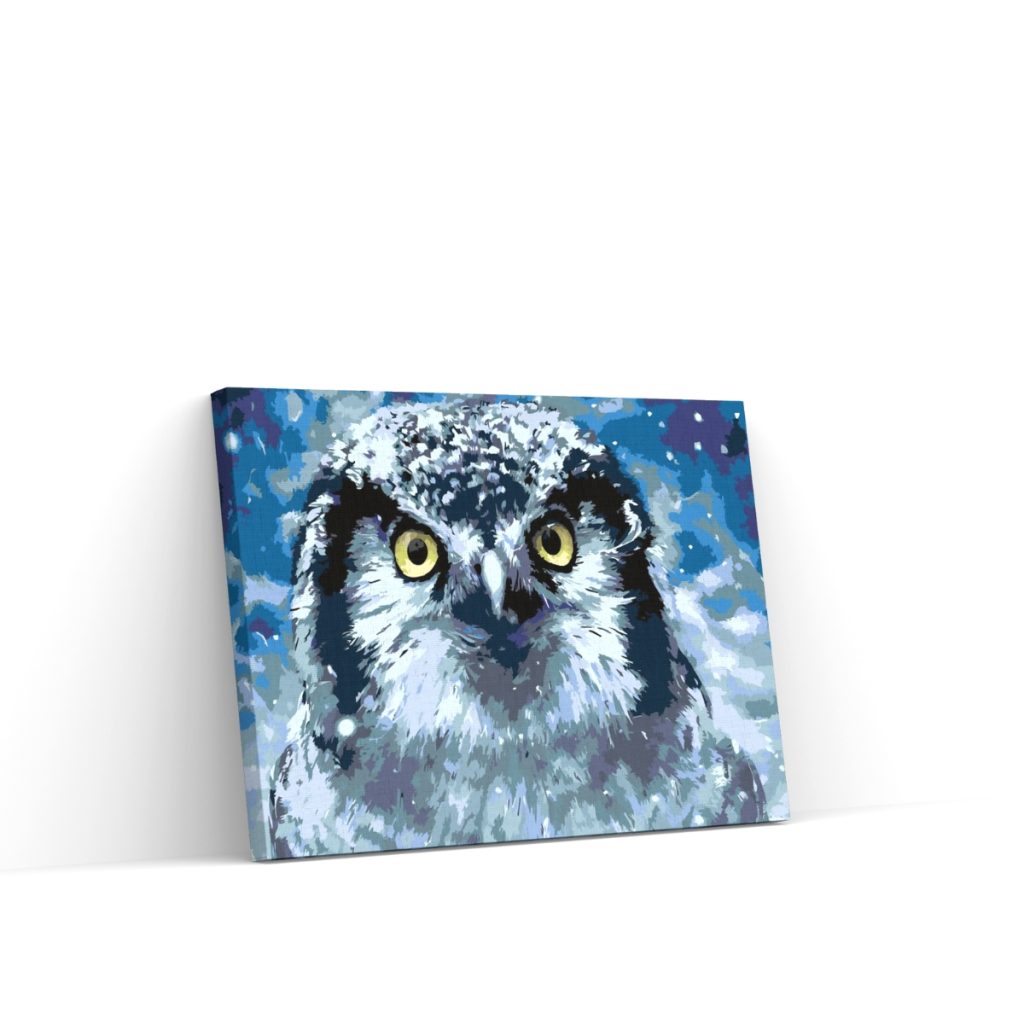 Pintar por Números - Búho