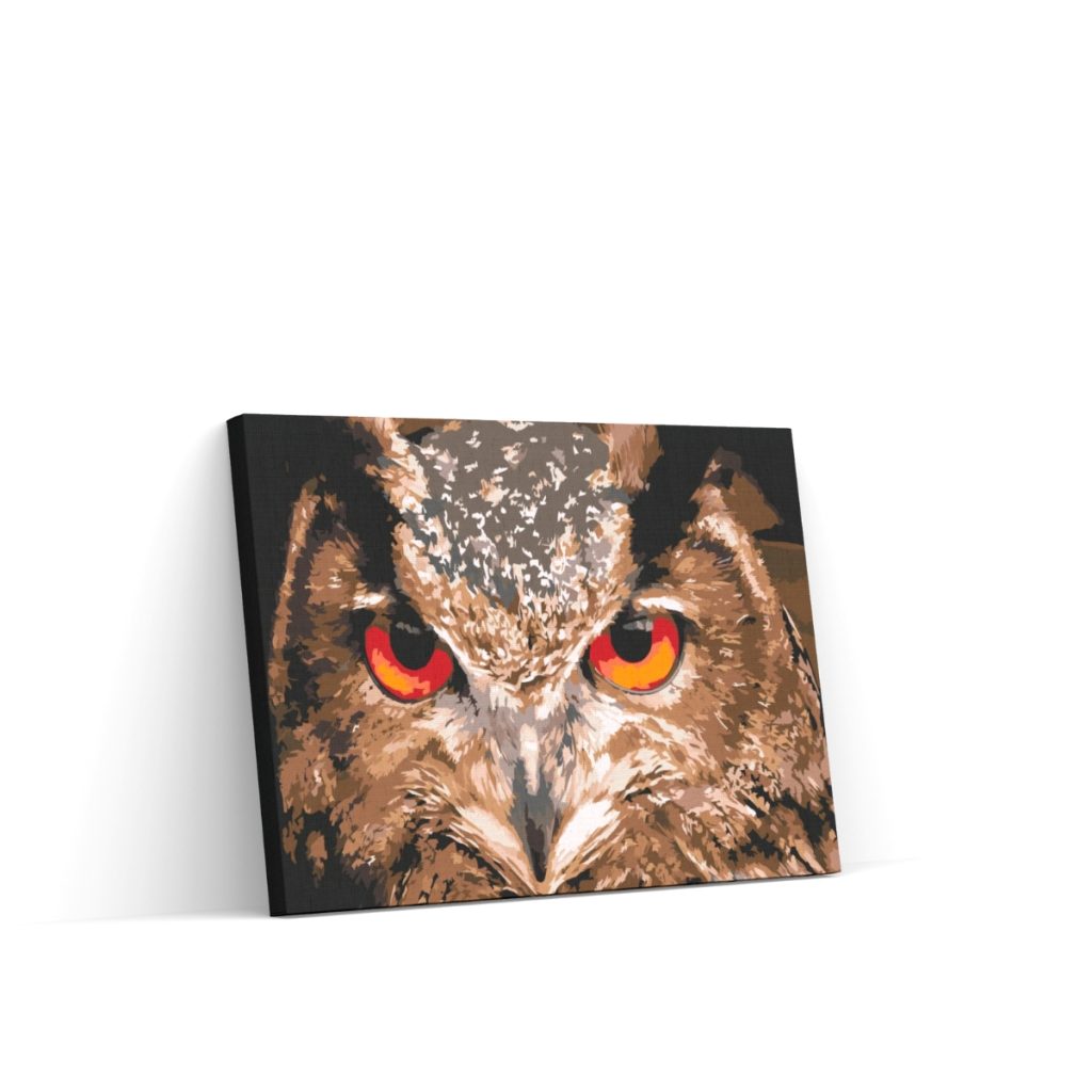 Pintar por Números - Búho 2