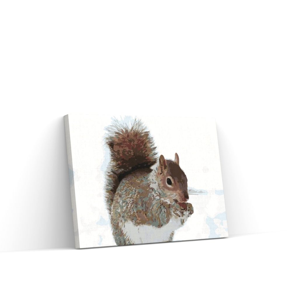 Pintar por Números - Ardilla con una nuez