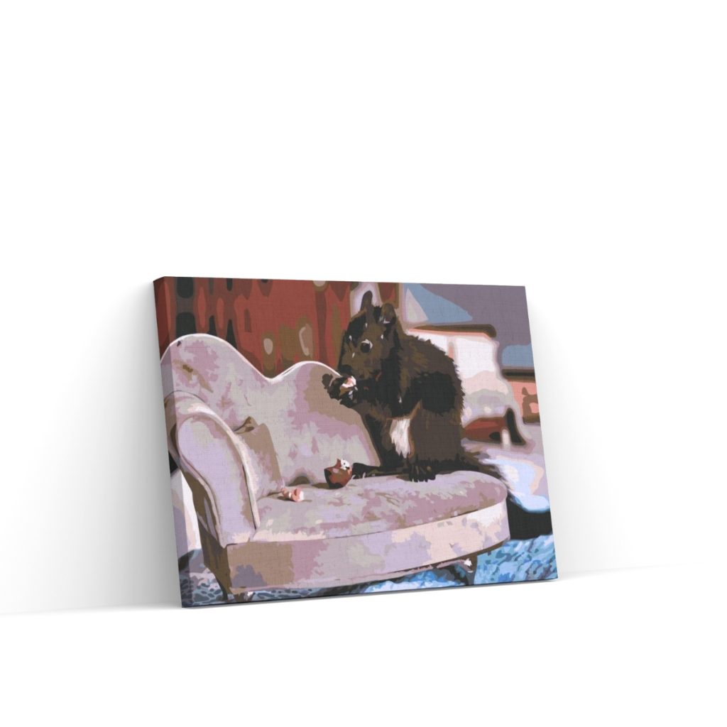 Pintar por Números - Ardilla en el banco