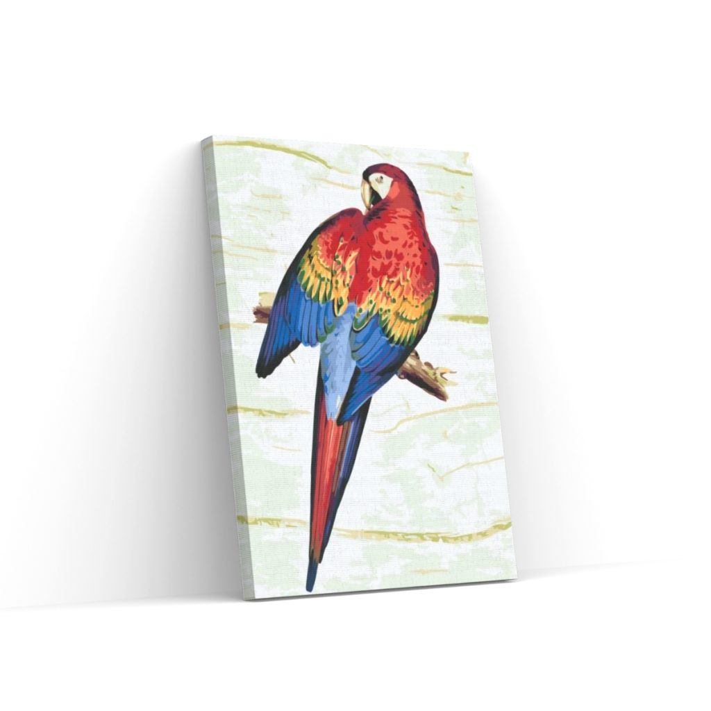 Pintar por Números - Loro vintage 2