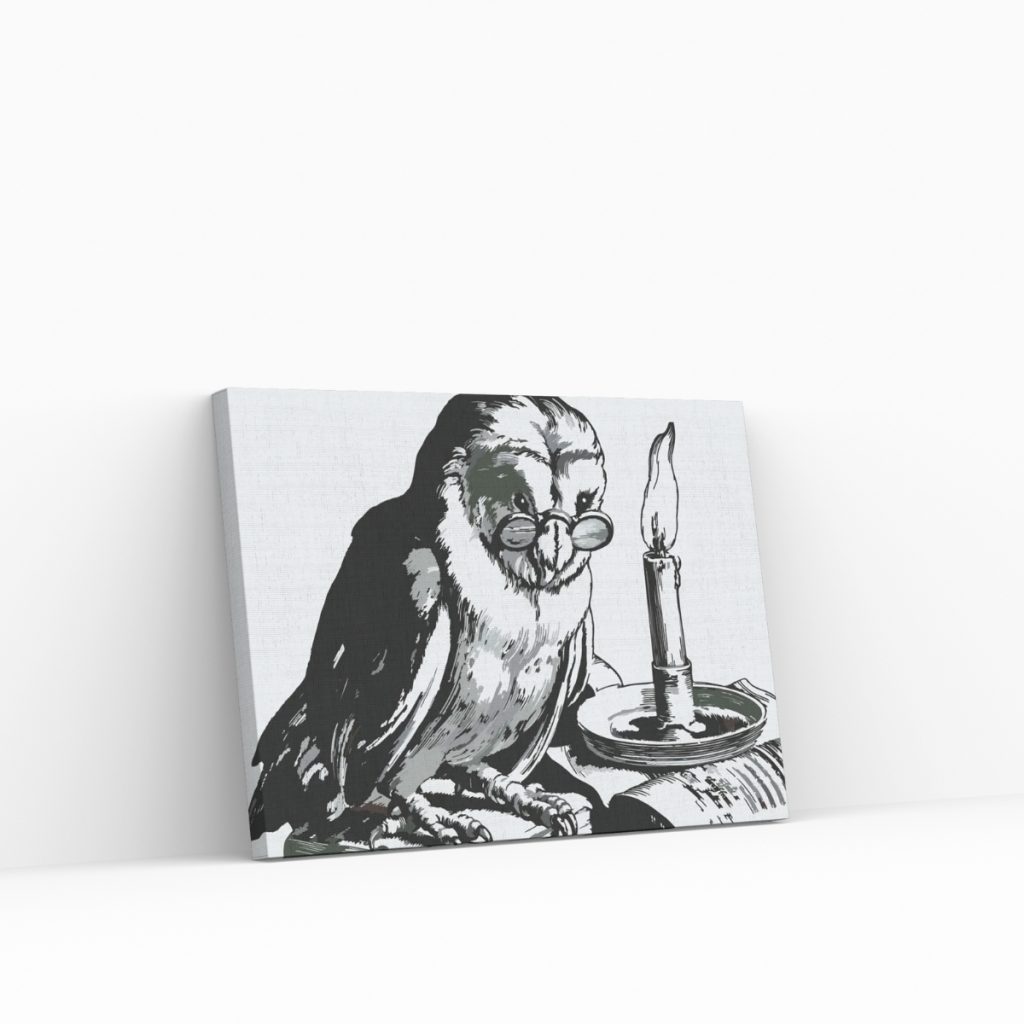 Pintar por Números - Búho amaestrado