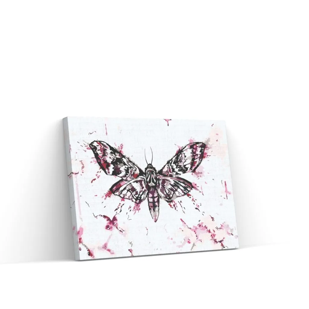 Pintar por Números - Pintar una mariposa