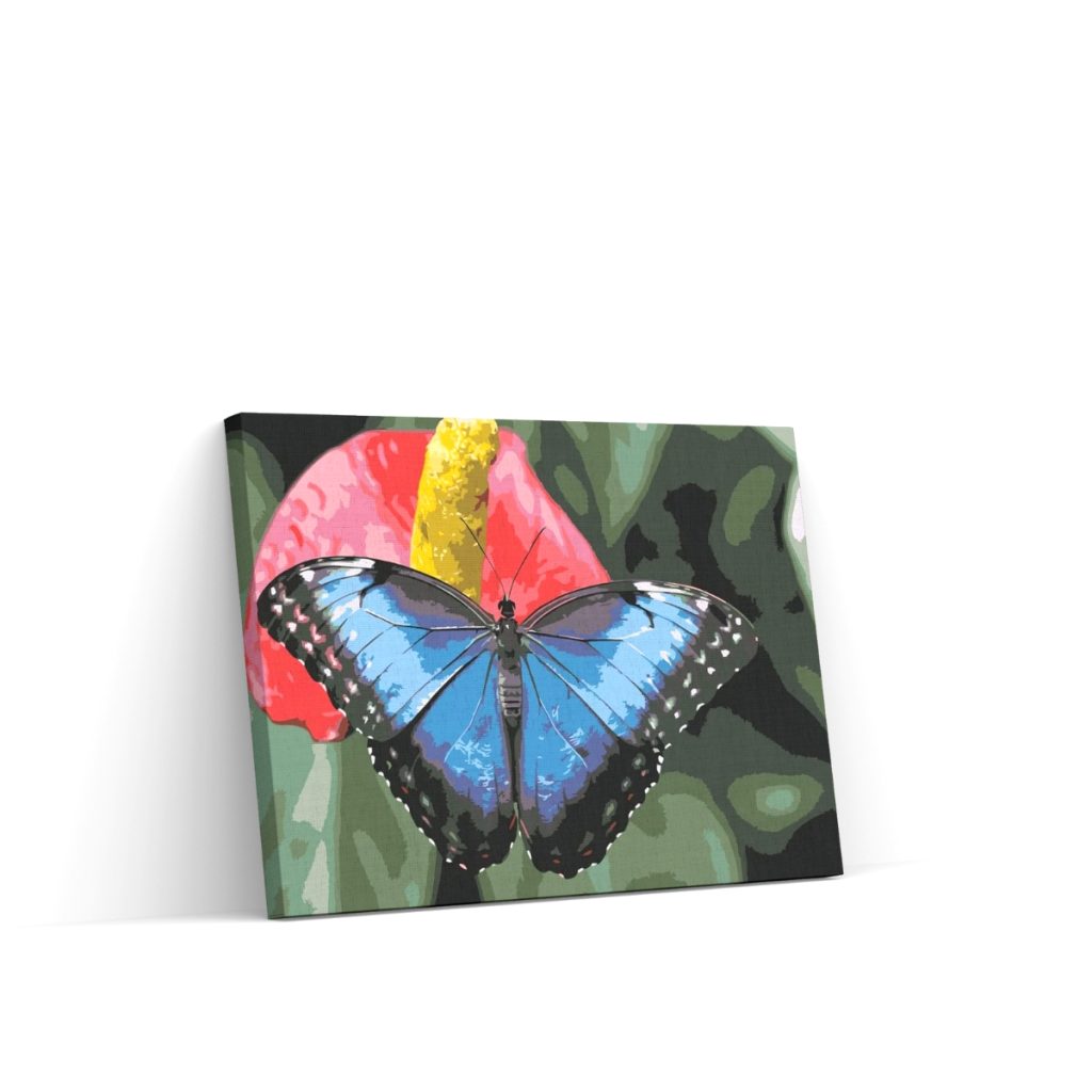 Pintar por Números - Mariposa sobre flor roja