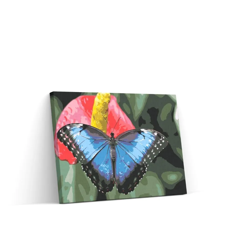 Pintar por Números - Mariposa sobre flor roja