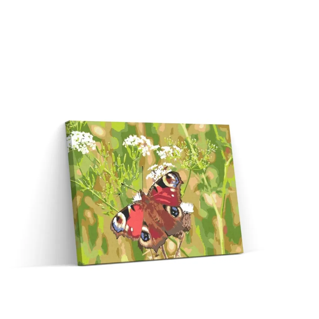 Pintar por Números - Mariposa en la hierba
