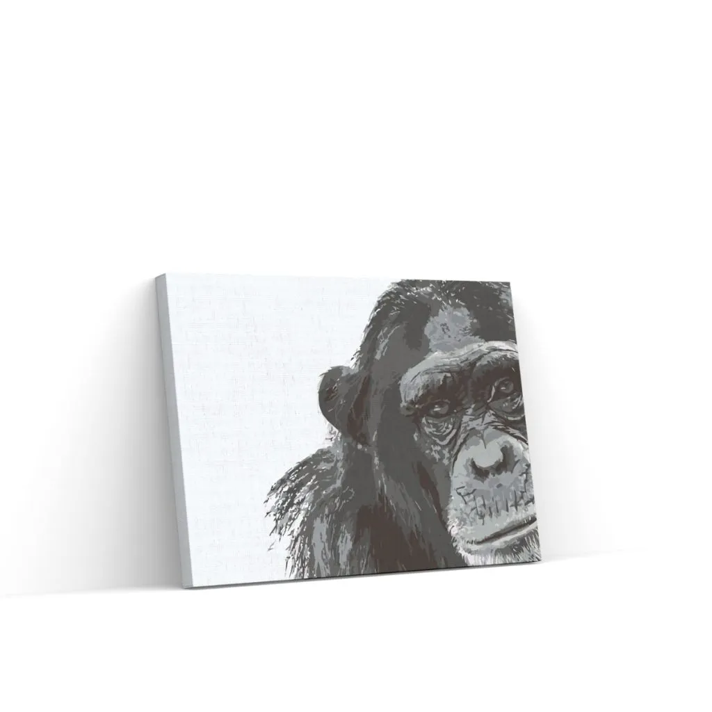 Pintar por Números - Chimpancé