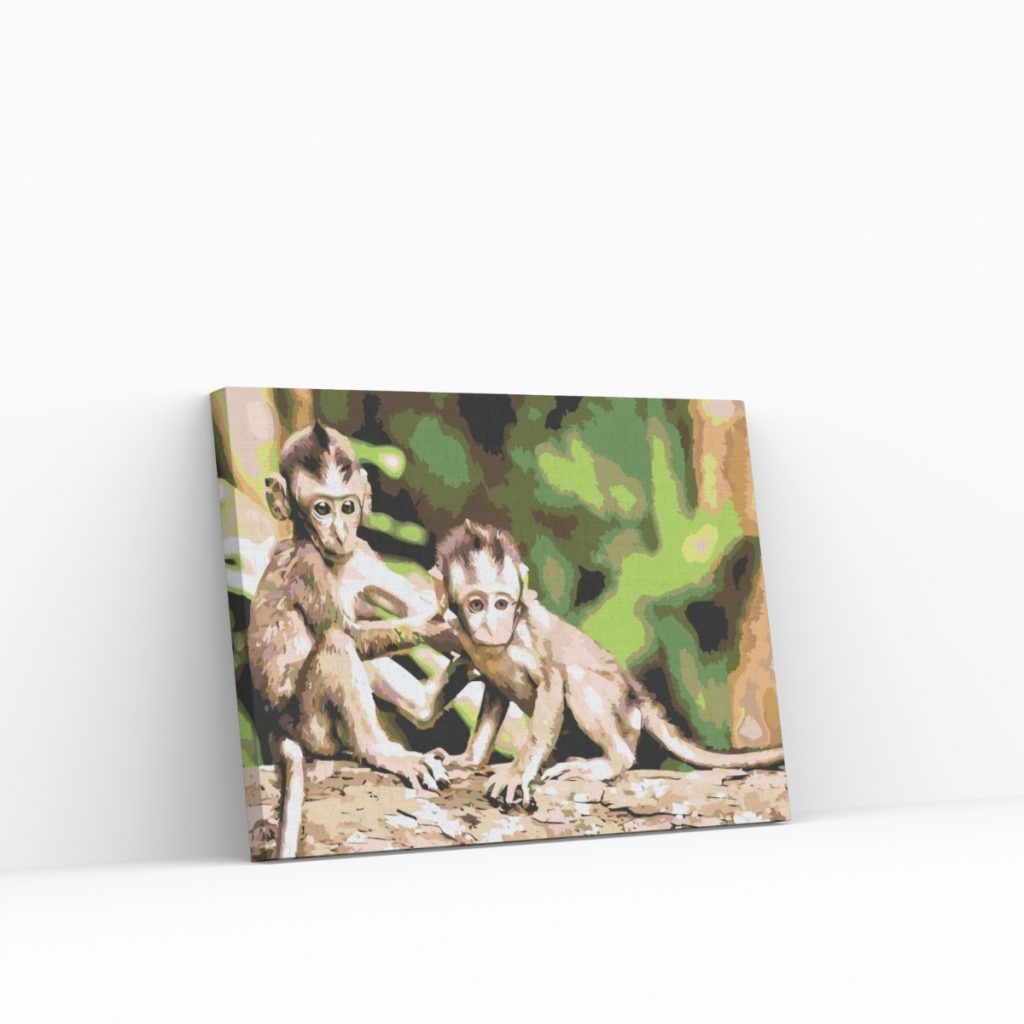 Pintar por Números - Monos