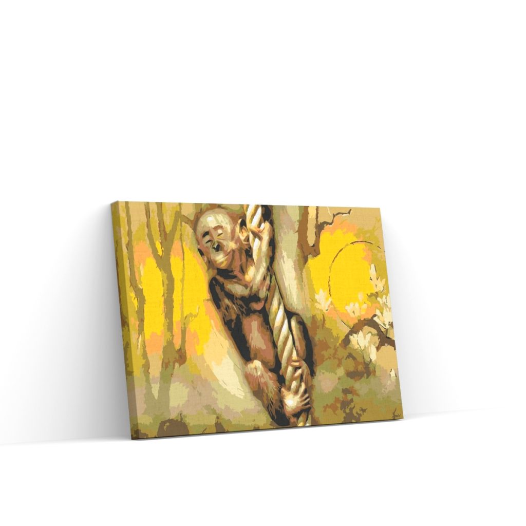 Pintar por Números - Mono en una cuerda