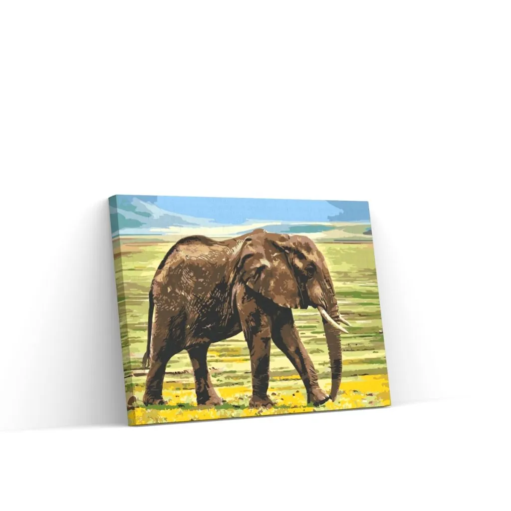 Pintar por Números - Safari en elefante