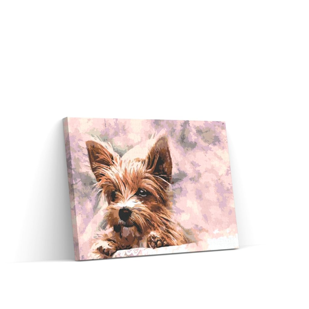 Pintar por Números - Yorkshire