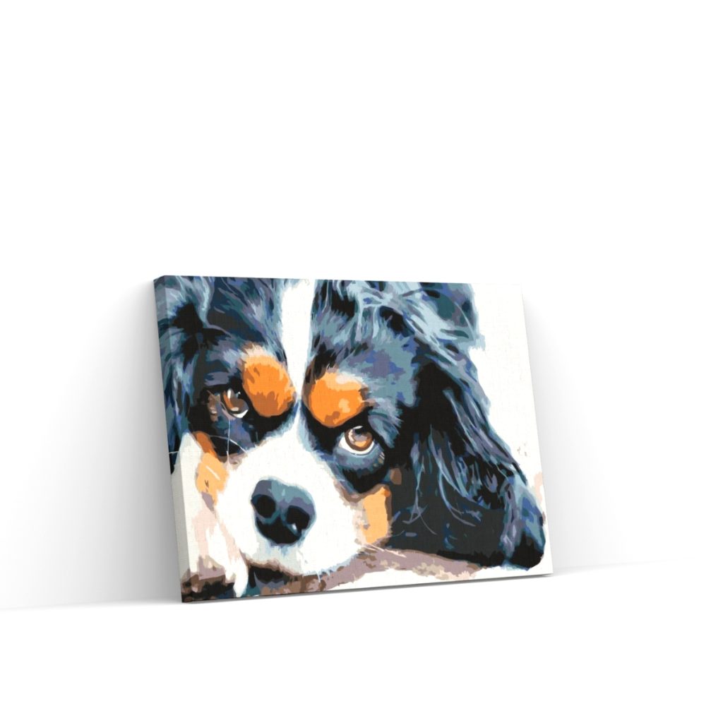 Pintar por Números - Perro pensador