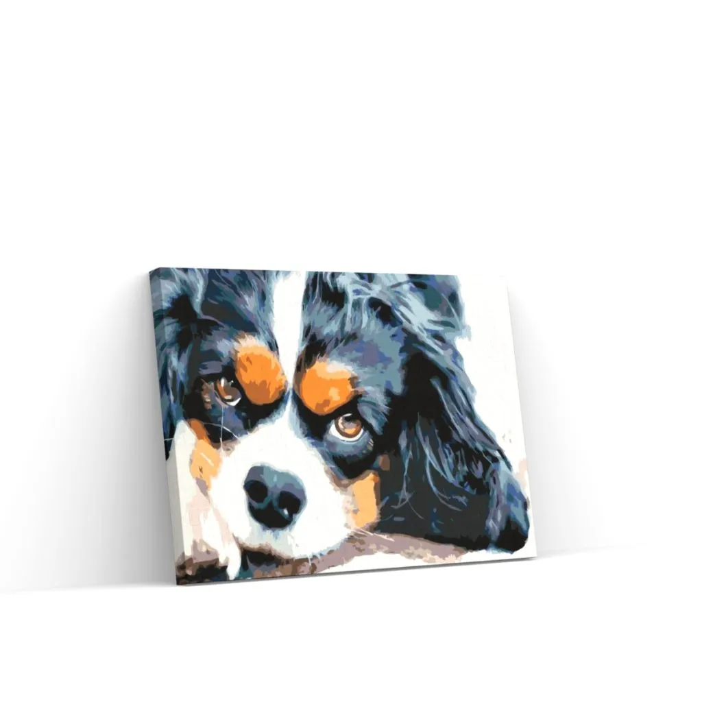 Pintar por Números - Perro pensador