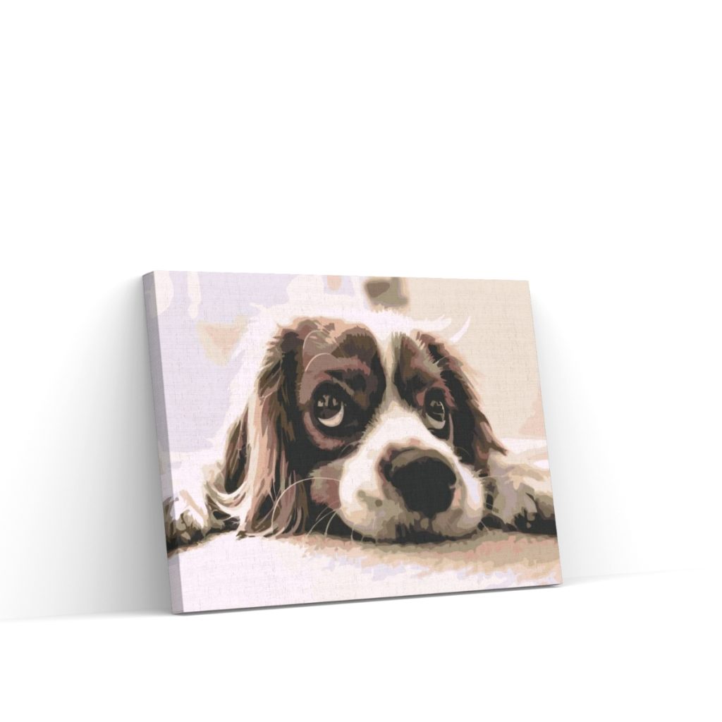 Pintar por Números - Lindo perro