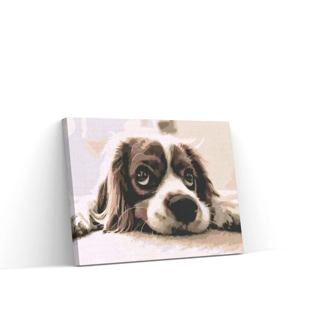 Pintar por Números - Lindo perro