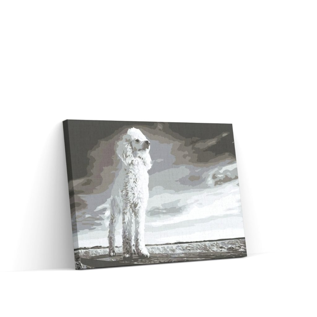 Pintar por Números - Caniche