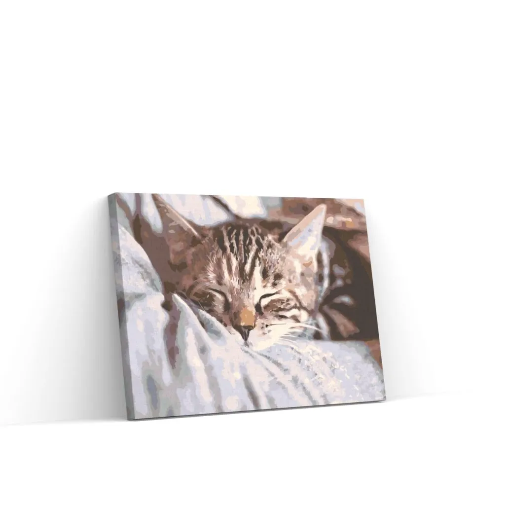 Pintar por Números - Gatito dormido