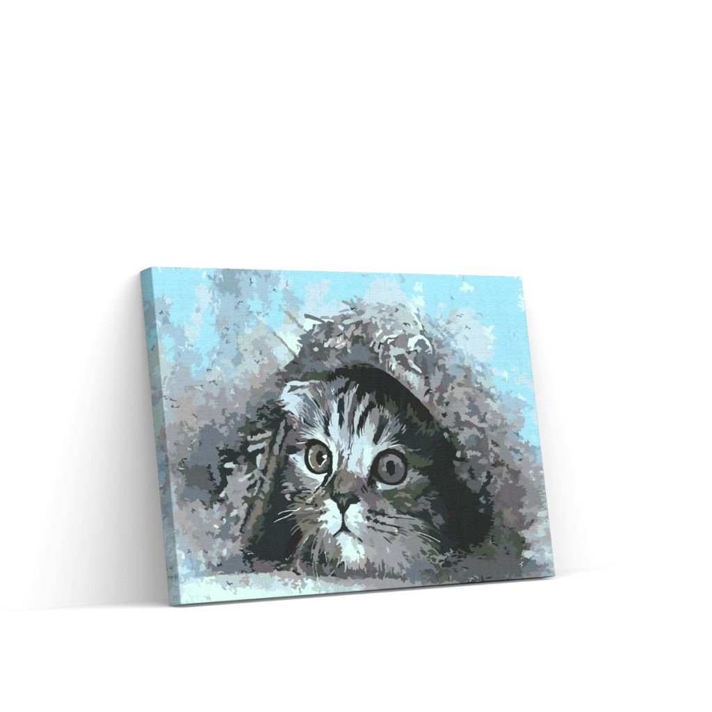 Pintar por Números - Gatito oculto