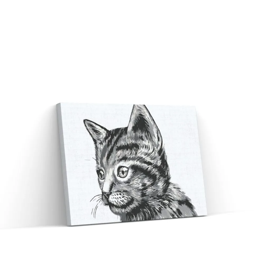 Pintar por Números - Lindo gatito blanco y negro