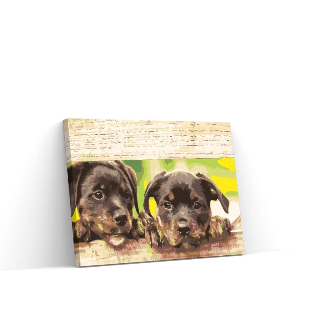 Pintar por Números - Cachorros