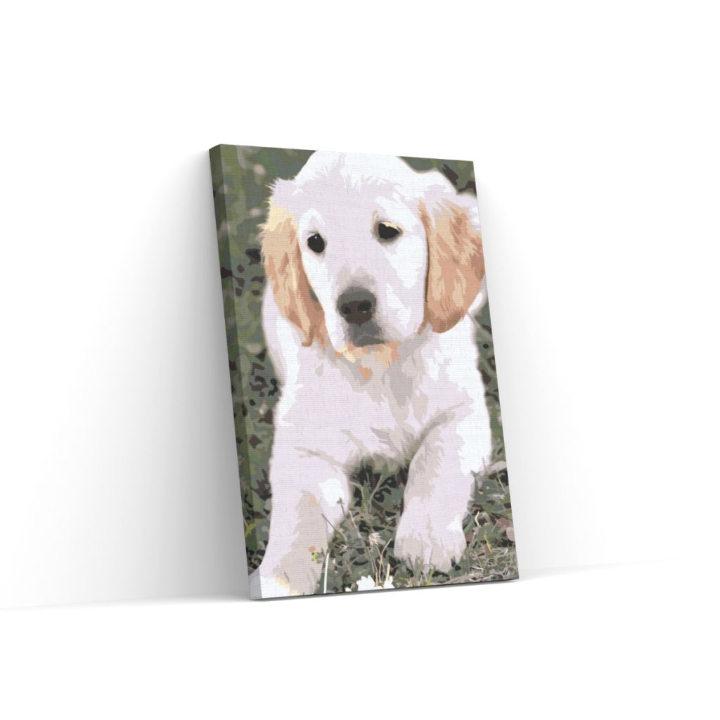 Pintar por Números - Cachorro de labrador