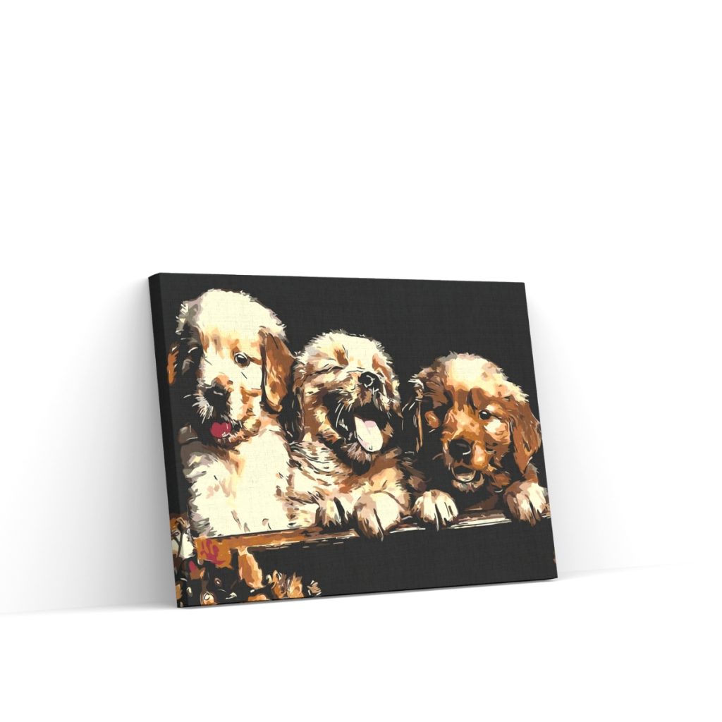 Pintar por Números - Cachorros de Retriever