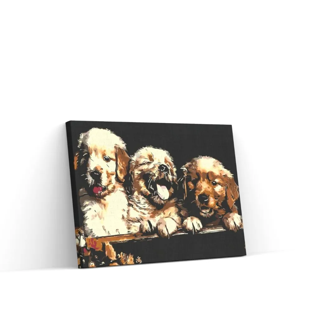 Pintar por Números - Cachorros de Retriever